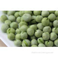 Natural Organic Freeze Dried Vegetables Green Peas as Backp